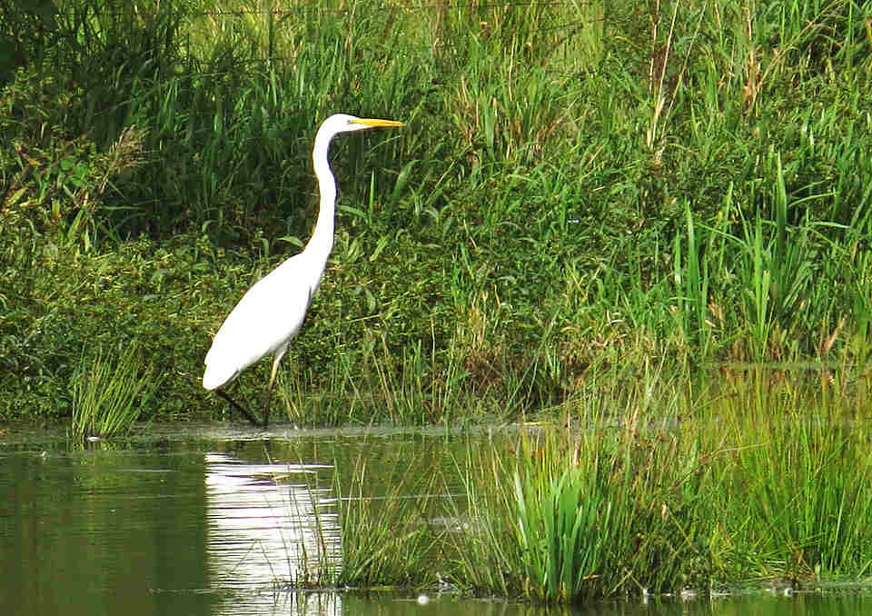 Wasser macht an Gemeindegrenzen nicht halt