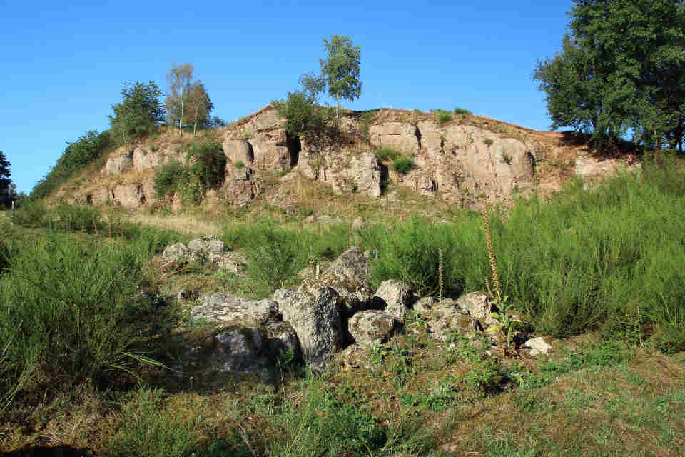 Kiesgrube Welschbach: ein strukturreicher Sekundärlebensraum