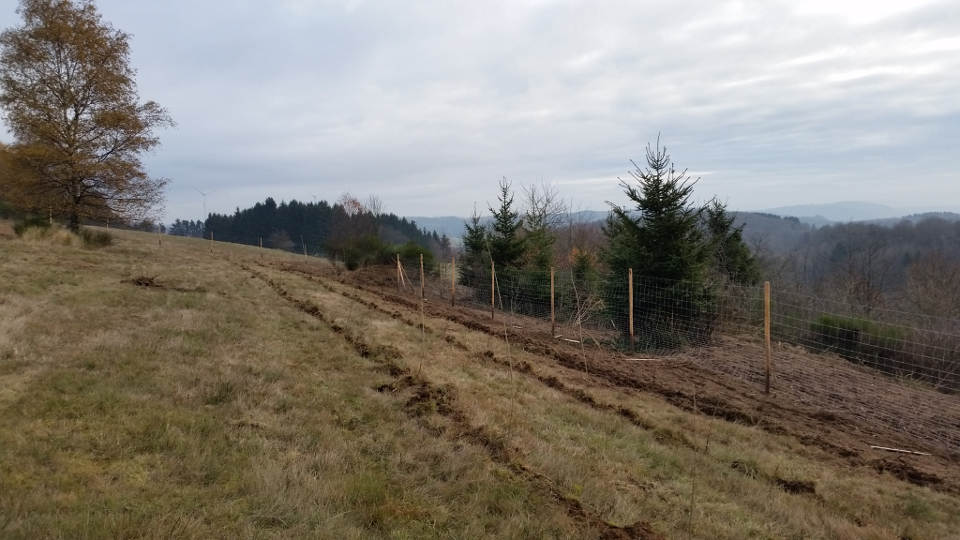 Wildschutzzaun in mehreren Teilflächen