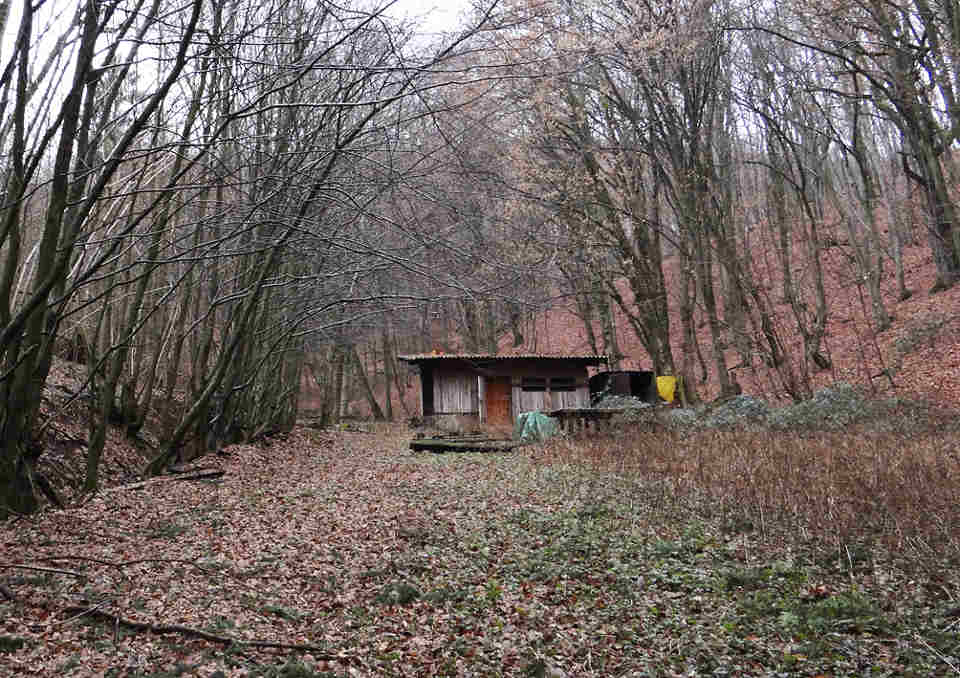 Rückbau Wochenendgrundstück, vorher